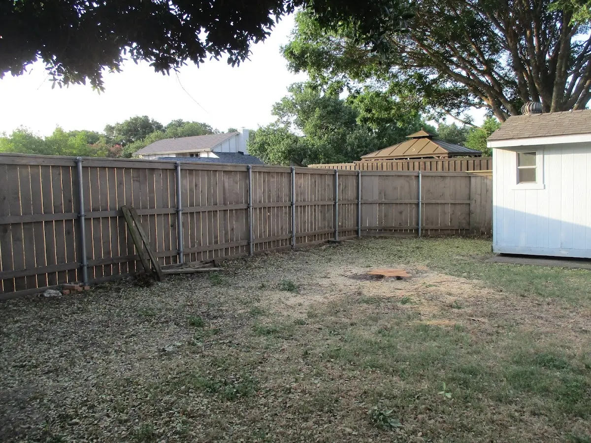 Cleared yard after professional tree removal in Mackinaw City