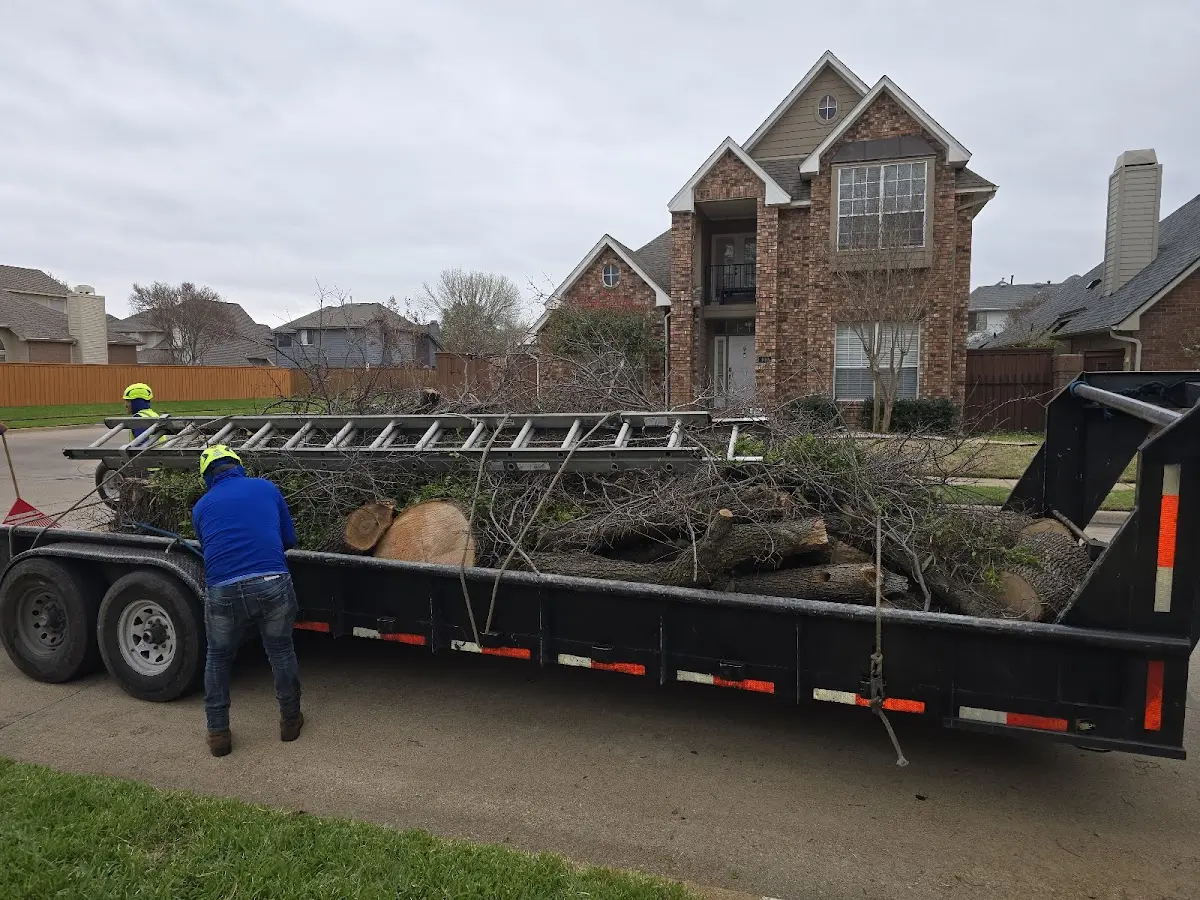 Expert Tree Pest Control with proper safety equipment in Mackinaw City
